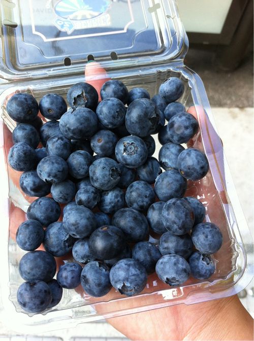 asjustinX's tweet photo. FRUTAS QUE TE AYUDAN A ELIMINAR TU GRASA ABDOMINAL  

1. ARÁNDANOS https://t.co/rw6lxyf7gS