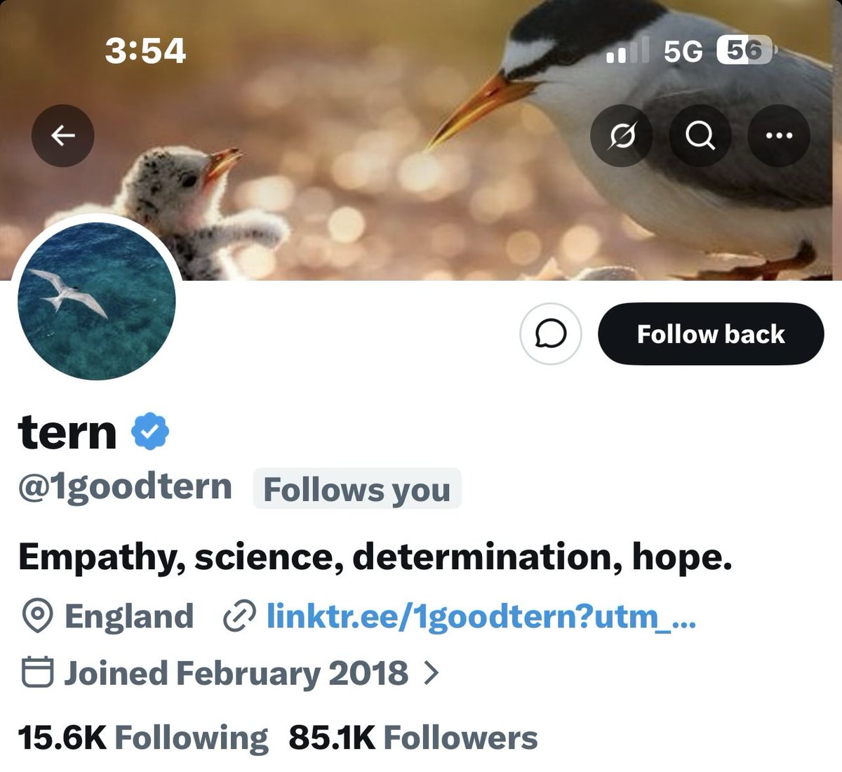 ryderseashells's tweet photo. @1goodtern My account mysteriously unfollowed you and @envidreamz.  I’ve fixed that. Going to check on other accounts. https://t.co/e9NupVlQpt