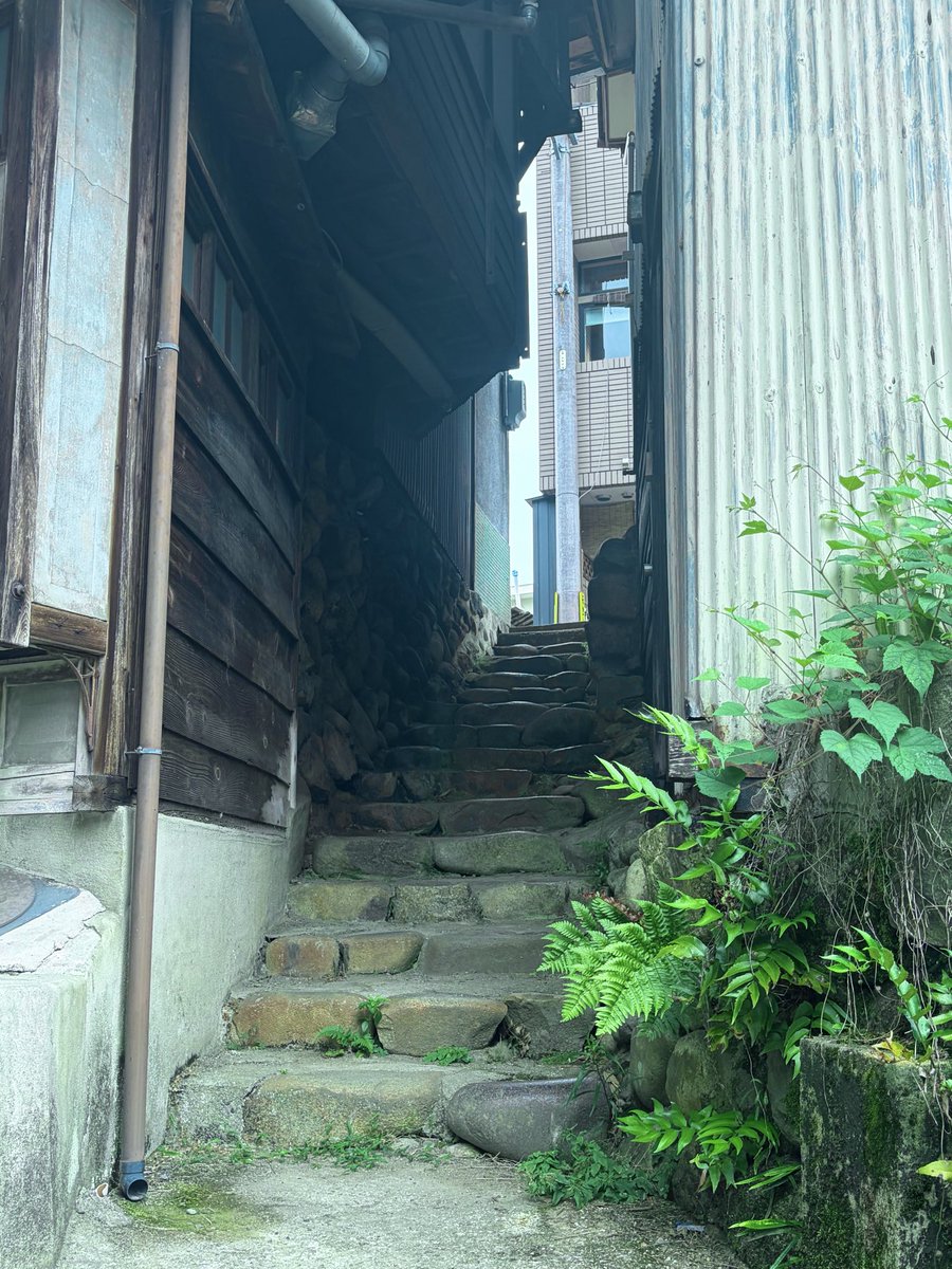 otyagahi's tweet photo. 筋骨作りの路地裏
男心をワクワクさせる道になってました🫶
こうゆう風景…ｽｷｯ
サイレントヒルfのイメージにもなったとか👻 https://t.co/cv5nLj80H8