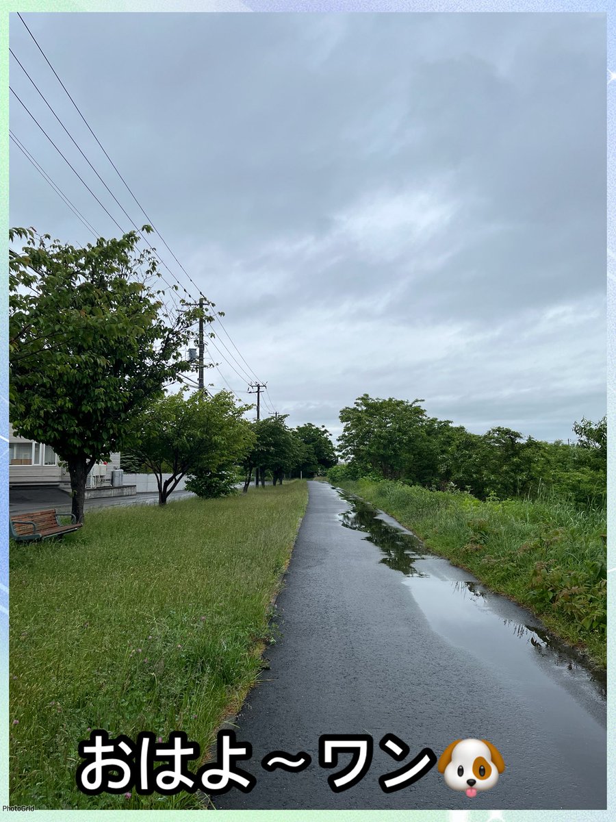 peko6281's tweet photo. 小鉄🐶です‼️
昨日の夜から雨☔☂️
今日は一日中‼️雨☔☂️予報🥺警報級に降るらしいです☔️☔️☔️😱　でも、パトロール❗️時間は止んで無事に終了👣💨💨💨
今日からお母ちゃん❣️2週間の予定で整形外科🏥にお世話になります😢
戻って来たら🤗また、よろしくお願いします🙇‍♂️🙇‍♀️
#こてケツ🍑 https://t.co/pDMyNrDaMi
