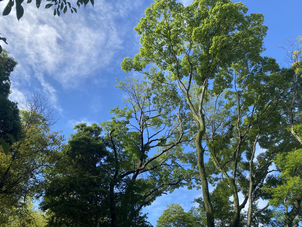 Fya1Fd's tweet photo. 職場で大丈夫です晴れ女なんで！とか言ってきたぐらいには晴れてるな
絶対雨かと思った https://t.co/DCWCYyIEno