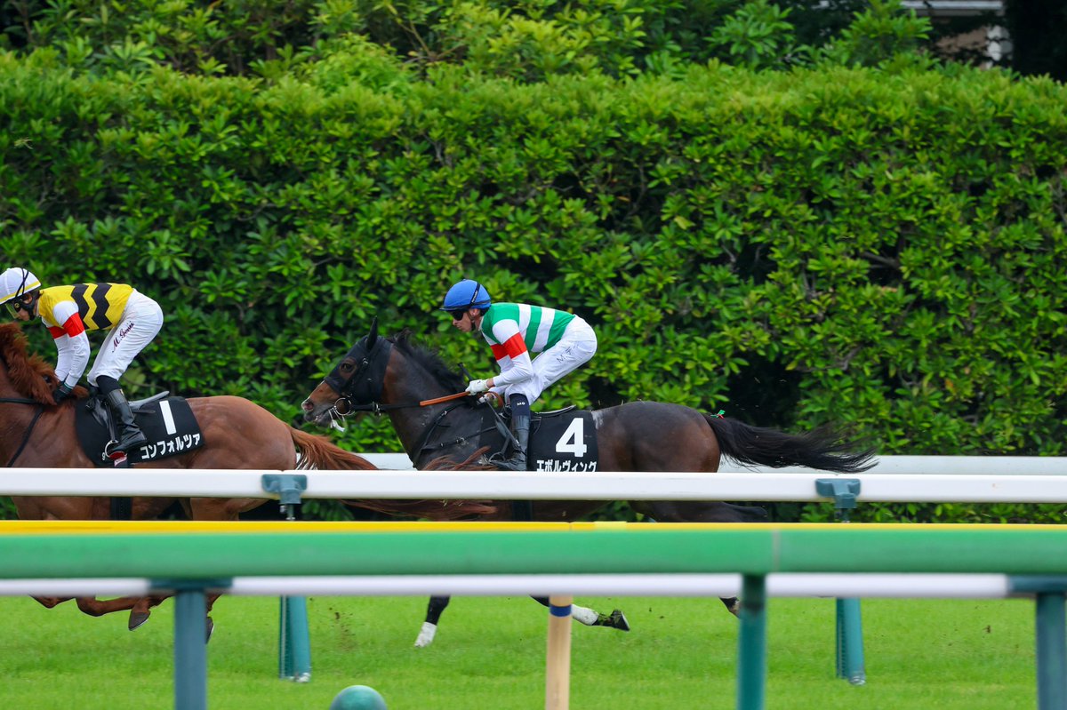 Orfe20122013's tweet photo. Michael Dee🇳🇿🇦🇺 &amp; Evolving🐎
June 7, 2026, TOKYO 9R
THE HONG KONG JOCKEY CLUB TROPHY
2000m, Turf, 3-Year-Olds &amp; Up, Allowance, 9th https://t.co/BtSPtSIb5r