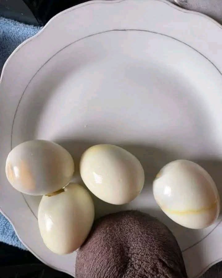 Hector_doss's tweet photo. Quién va a querer de mis huevos? Nomás que estos traen pelos 🥵 https://t.co/db0I2TZoF1