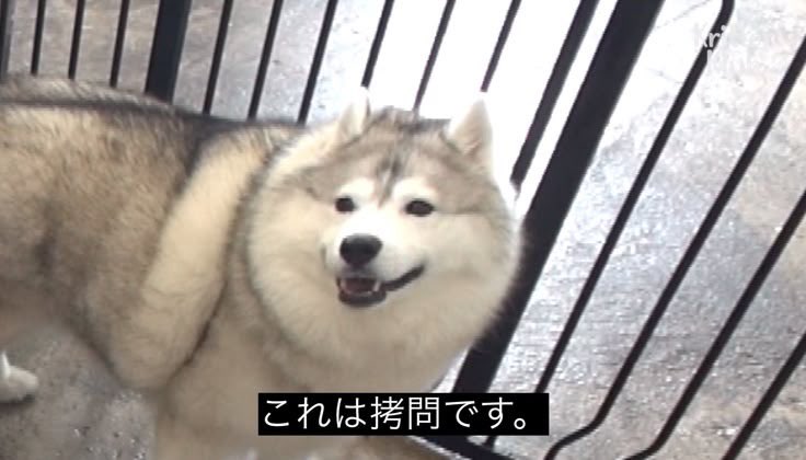 ebe213's tweet photo. https://t.co/B3B8DqBdtD
