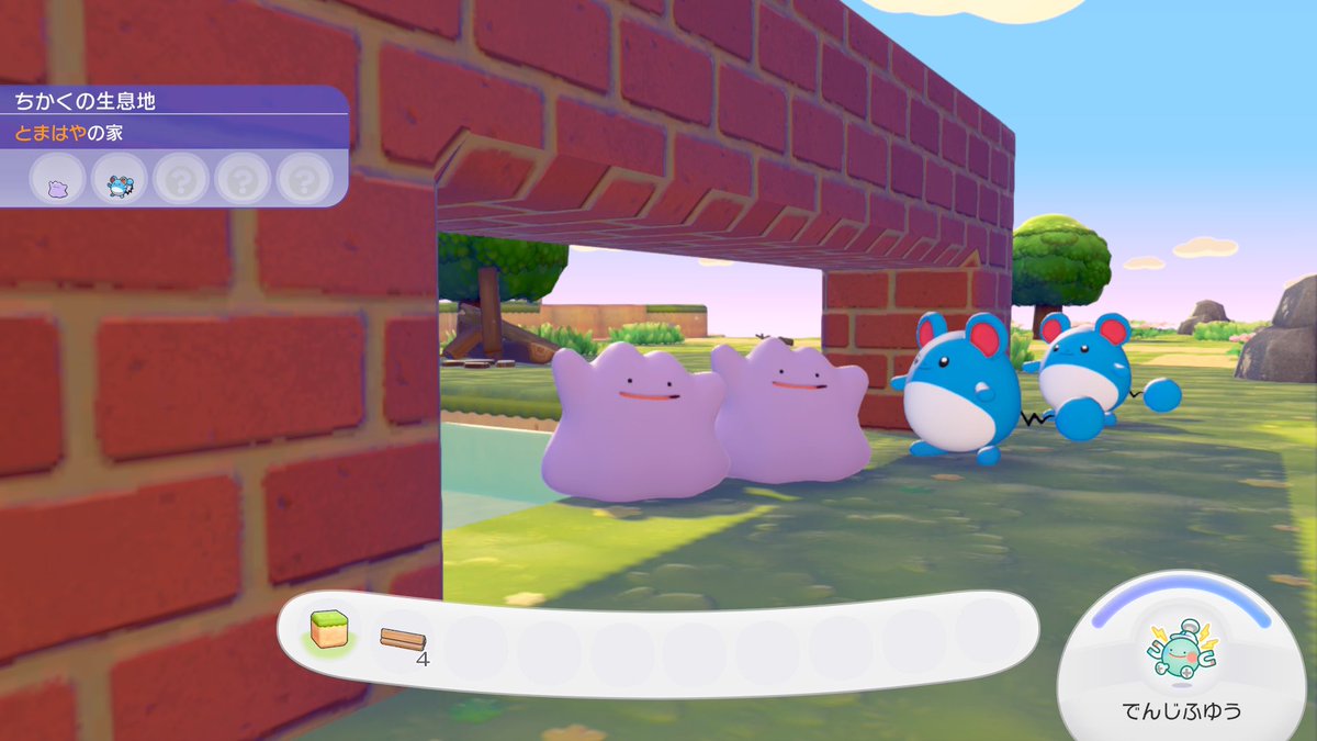 Roy_Cubone's tweet photo. メタモン メタモン マリル マリル https://t.co/b41QzAc8An