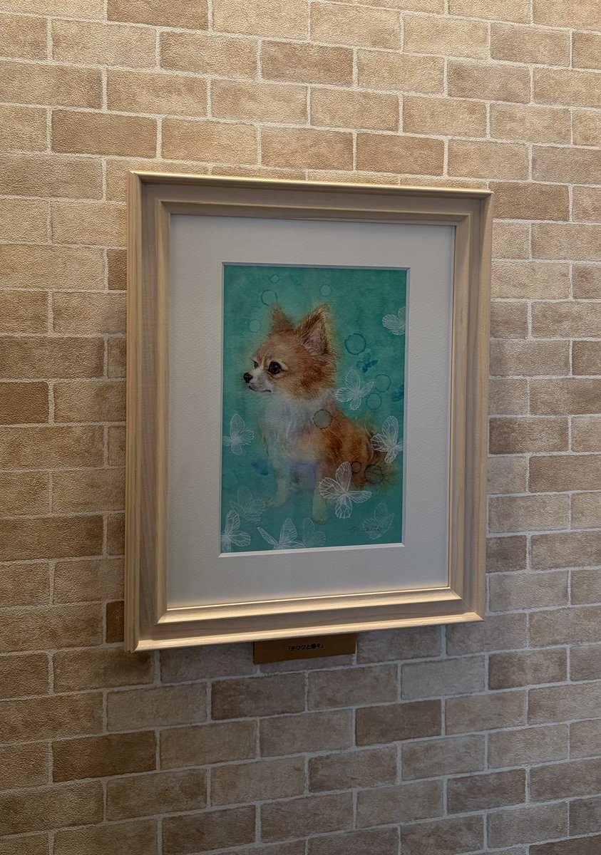 TY59958879's tweet photo. 斉藤緩 個展「6月のパレード」Ateller myu Flower+Cafe

「小雨のワルツ」青い傘にコートを着て、隣には赤いレインコートの柴犬が飼い主を見上げています
今展のメインビジュアルである色鉛筆画は、小雨の中で一緒に散歩する犬の嬉しさが伝わってきて優しい気持ちになります

6/6〜8、13〜15、20〜22迄 https://t.co/Y284rjaZqn