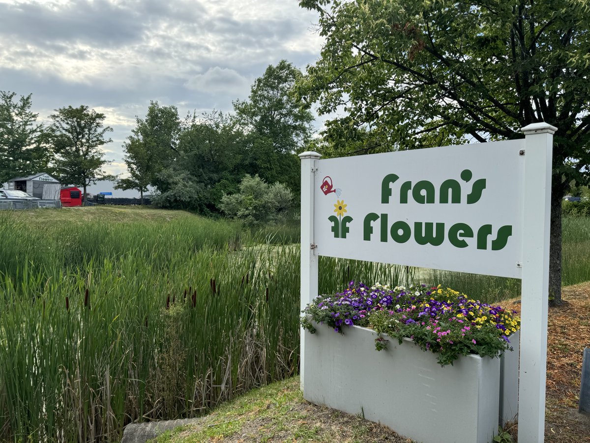 MarcAMcMullen1's tweet photo. Those Blooms Always, Fran’s my guy 👌 #KeepItLocal #FlowerSeason https://t.co/jmUbjIUynA