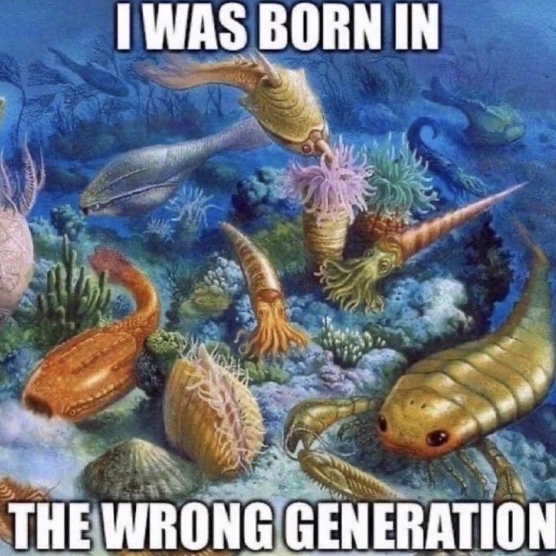 nocontextmemes's tweet photo. https://t.co/kZvXZxbJ1e