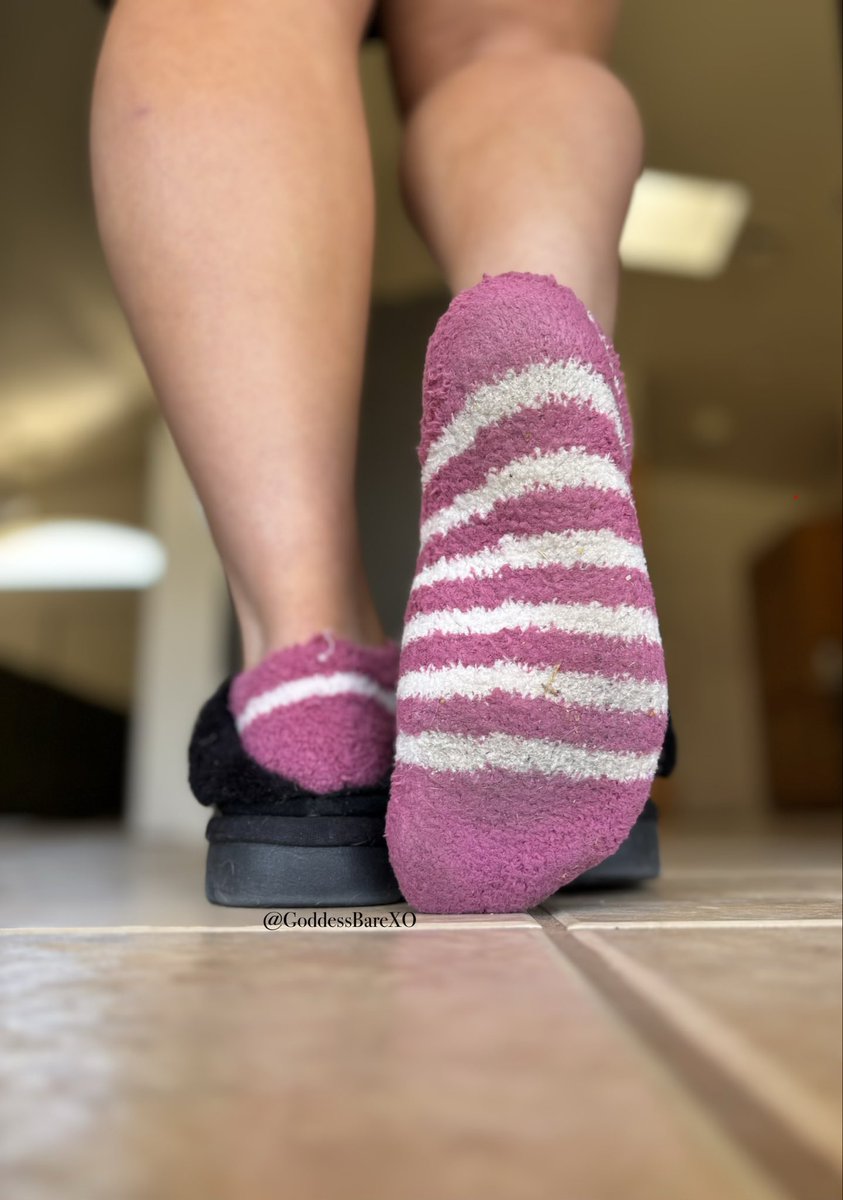 GoddessBareXO's tweet photo. Come clean these 4 day old fuzzy socks. https://t.co/GA7rD7I8L0