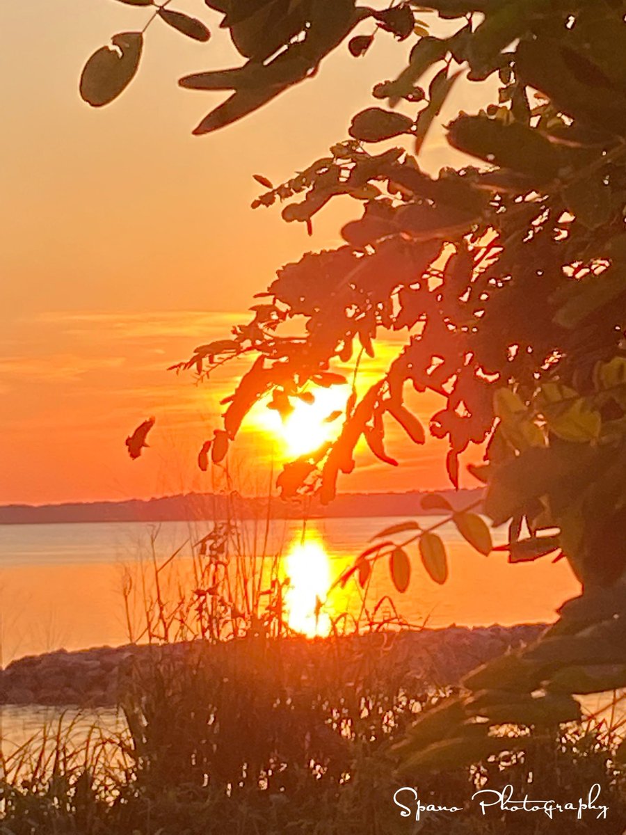 cardqueen21's tweet photo. @indian_pitta Sunset along the James River https://t.co/Lnn4uNxI8b