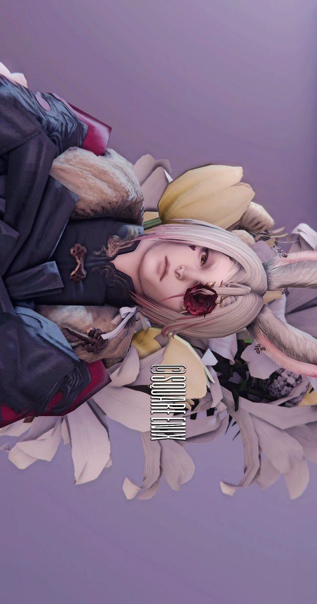 おはよっ 夜寒くて何度も目が覚める 昼との温度差が辛い。 #FF14