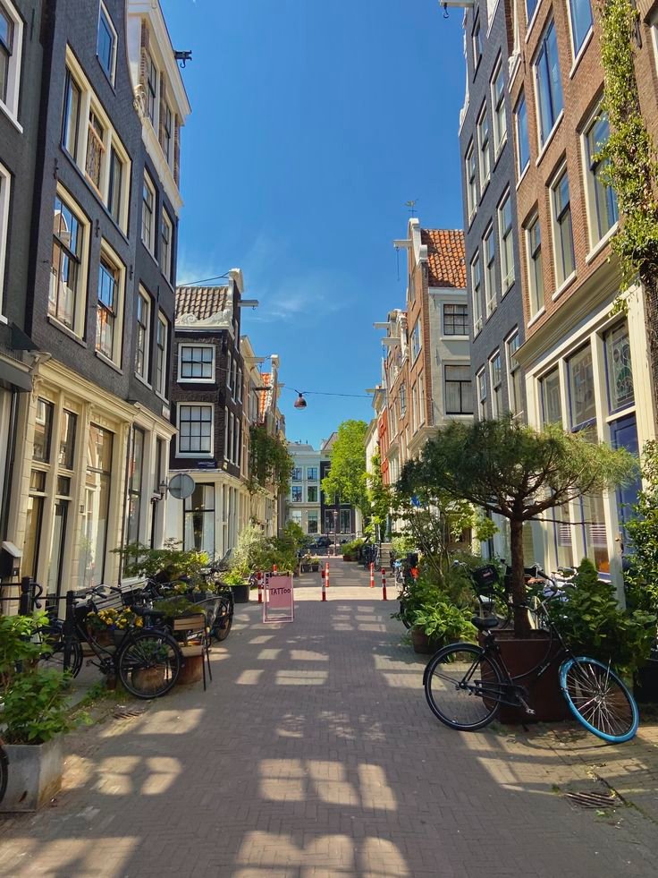 echoesofworld's tweet photo. Amsterdam https://t.co/89PPwlUHEP