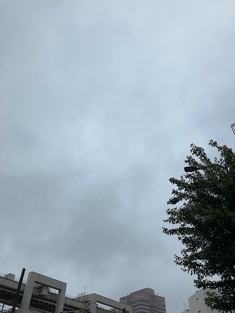 shingolfer's tweet photo. おはようございます☔️
今週は☔️スタートやっ🙄
梅雨らしい空やなぁ〜
雨にも負けず、今週もボチボチ頑張っていこー💪
足元滑りやすいので気をつけてな〜😊
#おは戦80608jg🌛
#ブルバ100
#BlueCheck https://t.co/stfeH0aZ5T
