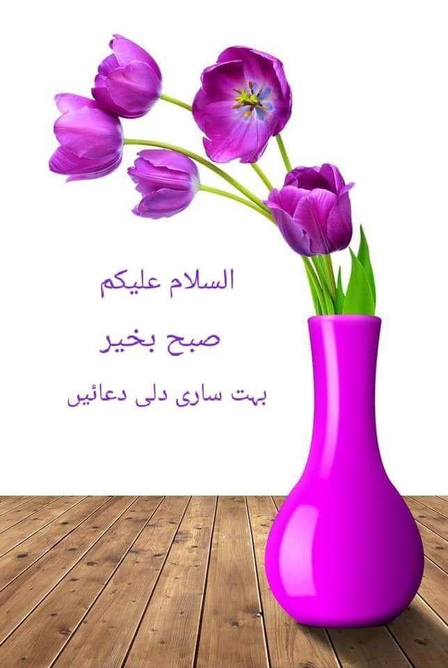 NatureloverIM's tweet photo. اسلام علیکم ورحمتہ اللہ وبرکاتہ صبح بخیر زندگی https://t.co/6TYIa1dB4a