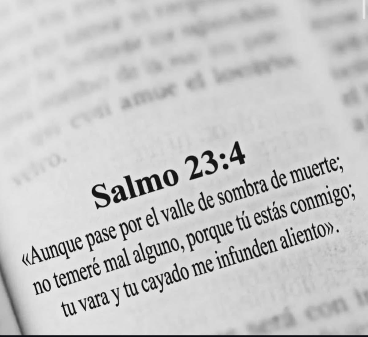 Nefisito's tweet photo. Salmos 23:4 🫂❤️‍🩹 https://t.co/FRxKqcHyne