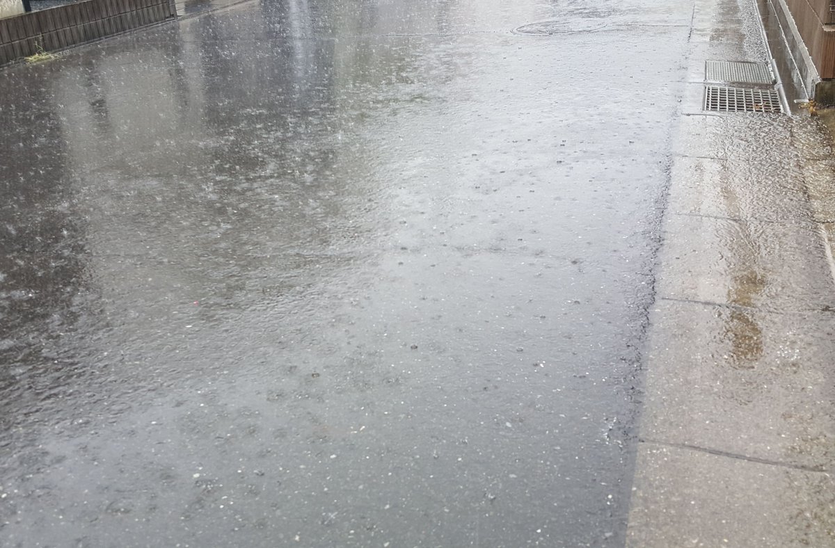 5Yamasakura's tweet photo. 梅雨に入ったようですね。今夕のスタートは朝から雨。明日も・・。仕事するのにはちょっと辛い季節なんですよ。でも常にきれいに安全な作業に努めます。日曜日梅の実を収穫し梅の木の剪定したよ。大和地区の皆さん、今週もよろしくお願いします！#桜川市 #茨城県 #大和 https://t.co/OdXDzP6w2E