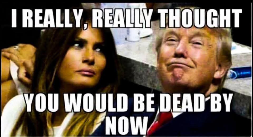 LegomanWayne's tweet photo. @maura_resister https://t.co/C4qNWgjR6D