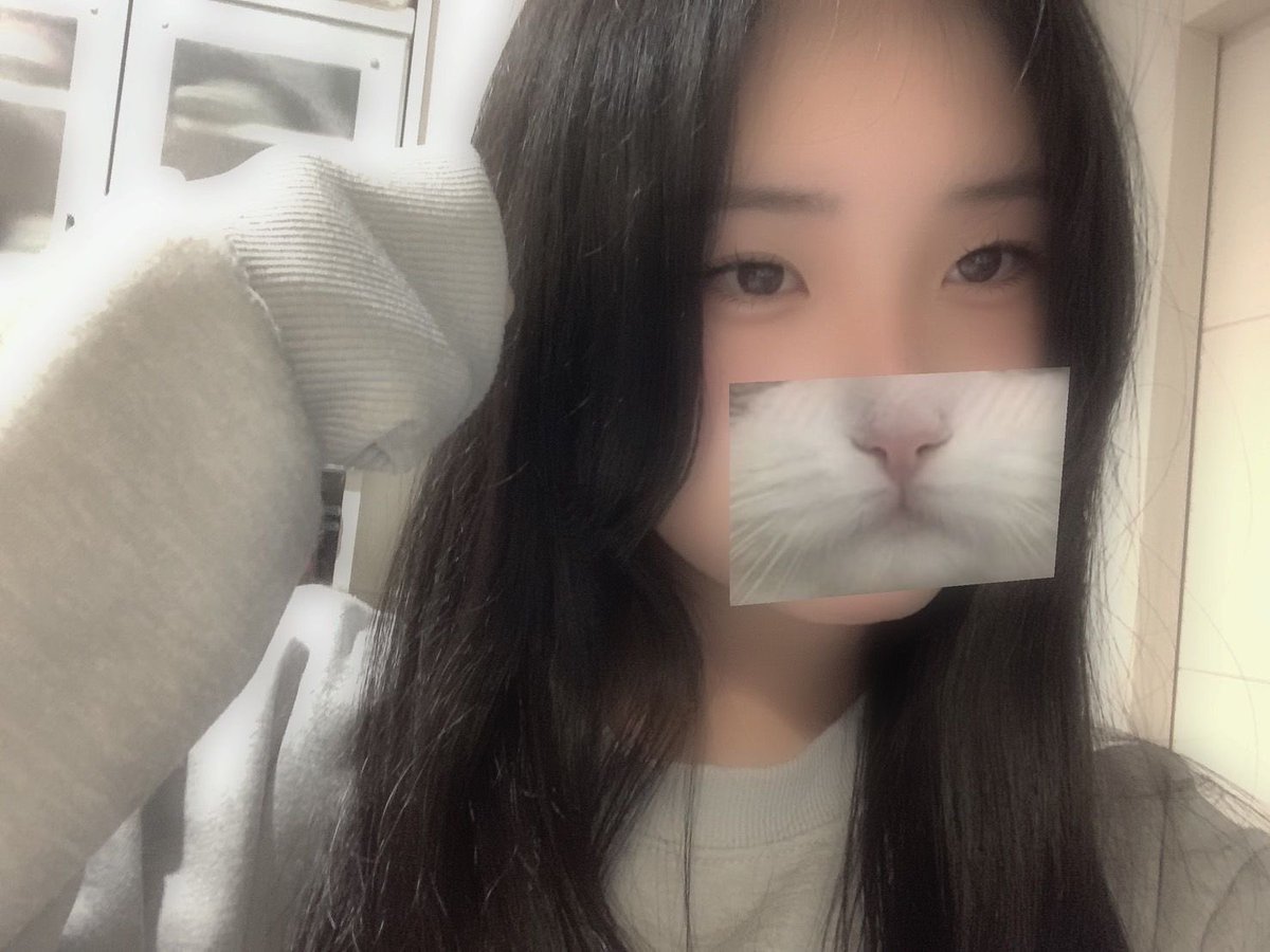 krstbt7's tweet photo. 色んな女の動画ほし���人いますか(笑)

動画やすくうってあげますよ

1本50円とかで笑

#裏アカ男子と繋がりたい #裏アカ女子 https://t.co/visExD25ml