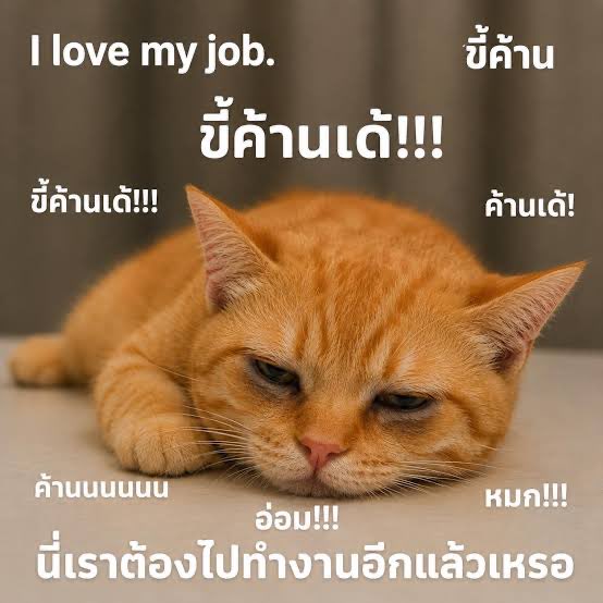 ฟอยอ. tweet media