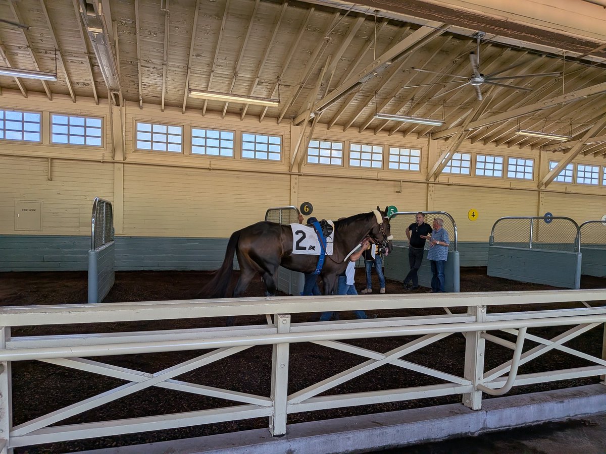 flatoutcool's tweet photo. ロサンゼルス
🐴サンタアニータ競馬場
大井競馬場と提携してる様です
土日は入場券10ドル
（レーシングプログラム込み）
平日は無料
（レーシングプログラム無し）
#keiba https://t.co/ClS3Ic8HV6