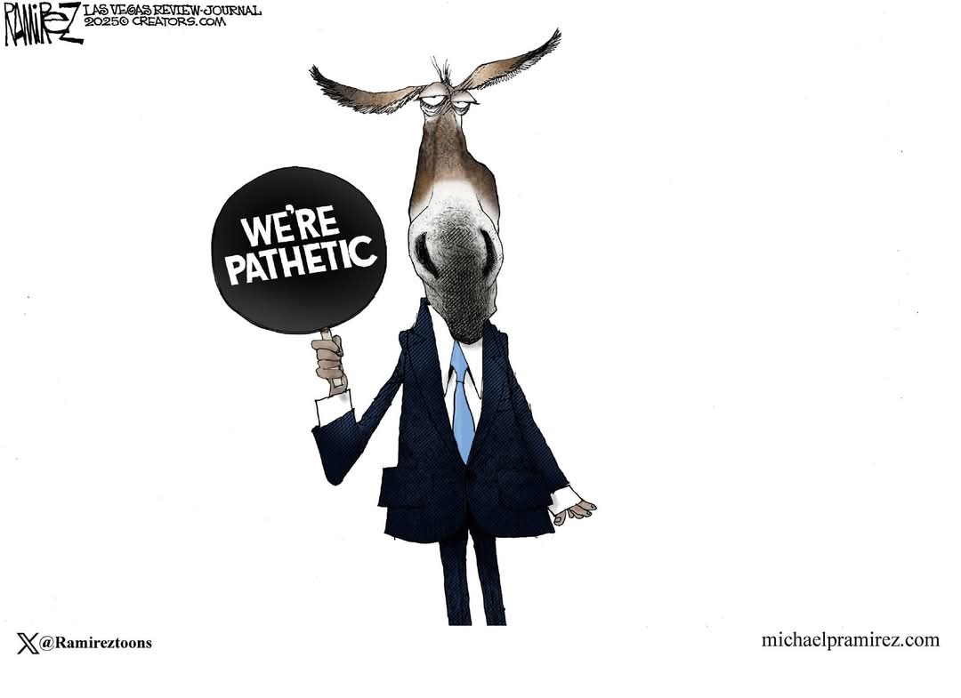 DanielC33563032's tweet photo. @kwelkernbc @NBCNews @MeetThePress You lying low life cunt, the President should have left long before he did and you got exactly what you deserved. https://t.co/4qy9UBWkKN