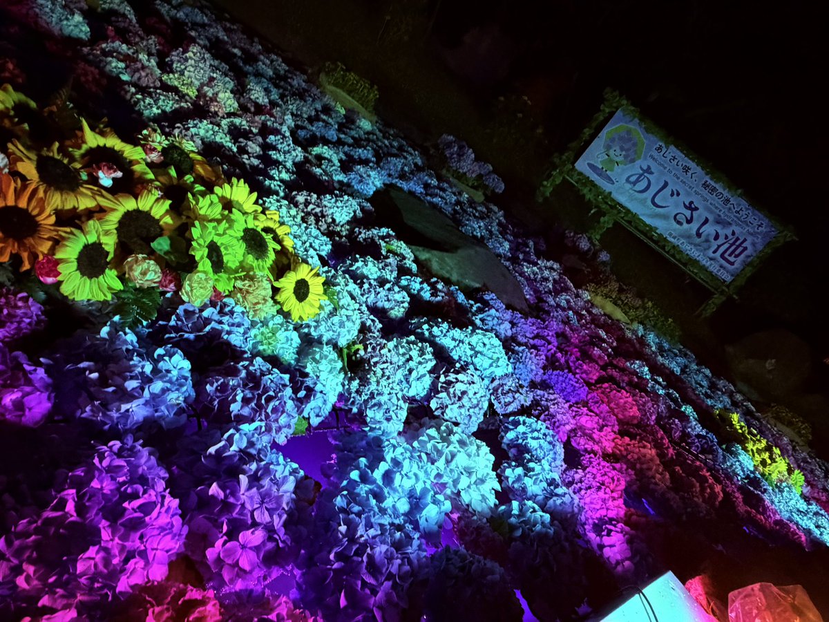 szy8yzs's tweet photo. 虹色に光る幸せ🎵💐🌈 https://t.co/HsBxfeuKCp