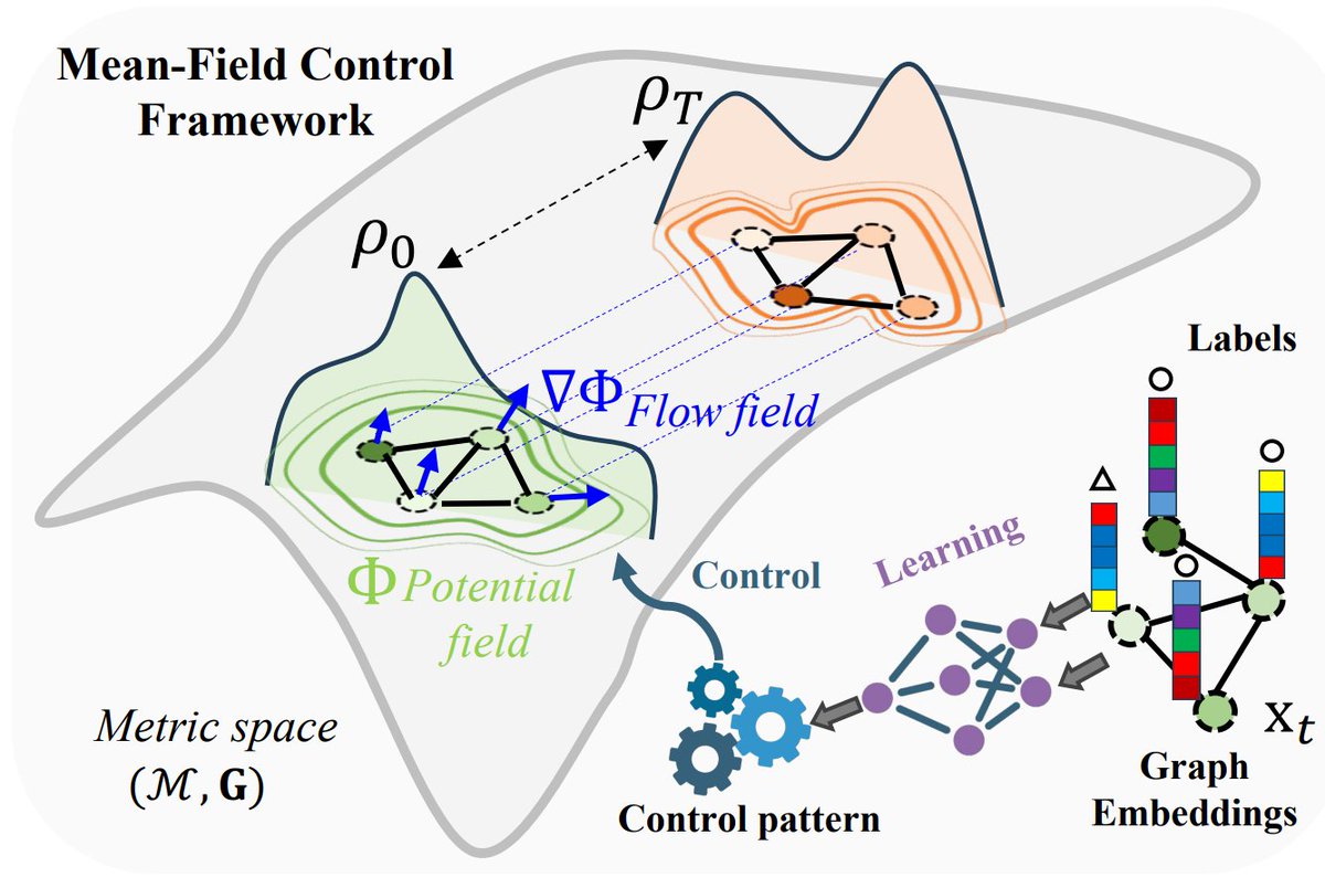 dan_tingting's tweet photo. 🚀 Out now in IEEE TPAMI! How can we make GNNs adaptively learn from unseen & heterophilic graphs?

We propose a Variational Mean-Field Control (MFC) framework for Graph Representation Learning! 🧵👇

🔍 The Problem: Standard GNNs use rigid message-passing that fails when relational biases conflict with graph properties (e.g., heterophily).

💡 Our Solution: We model graph learning as an MFC variational problem. Using PDE-characterized Hamiltonian flows, we jointly control: 1️⃣ Diffusive mobility (global propagation) 2️⃣ Reactive mobility (local transformation)
🏆 The Result: Our end-to-end Nash-GNN unifies existing PDE-based GNNs and delivers SOTA performance on heterophilic graphs & human connectomes!
🔗 Read the paper: https://t.co/xJUwSblF3Y

#GNN #MachineLearning #AI #TPAMI