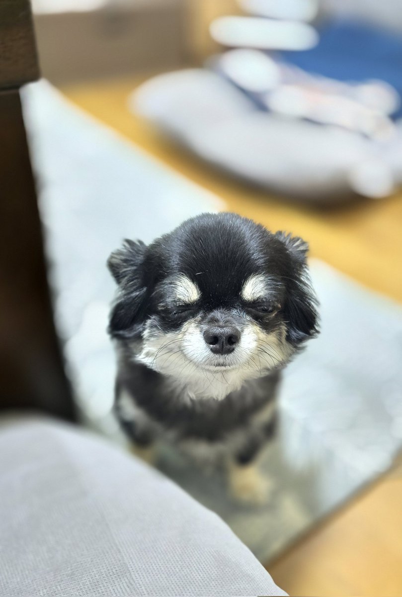 the_Dehi's tweet photo. おっはよー。 https://t.co/Uw5qO5zSya