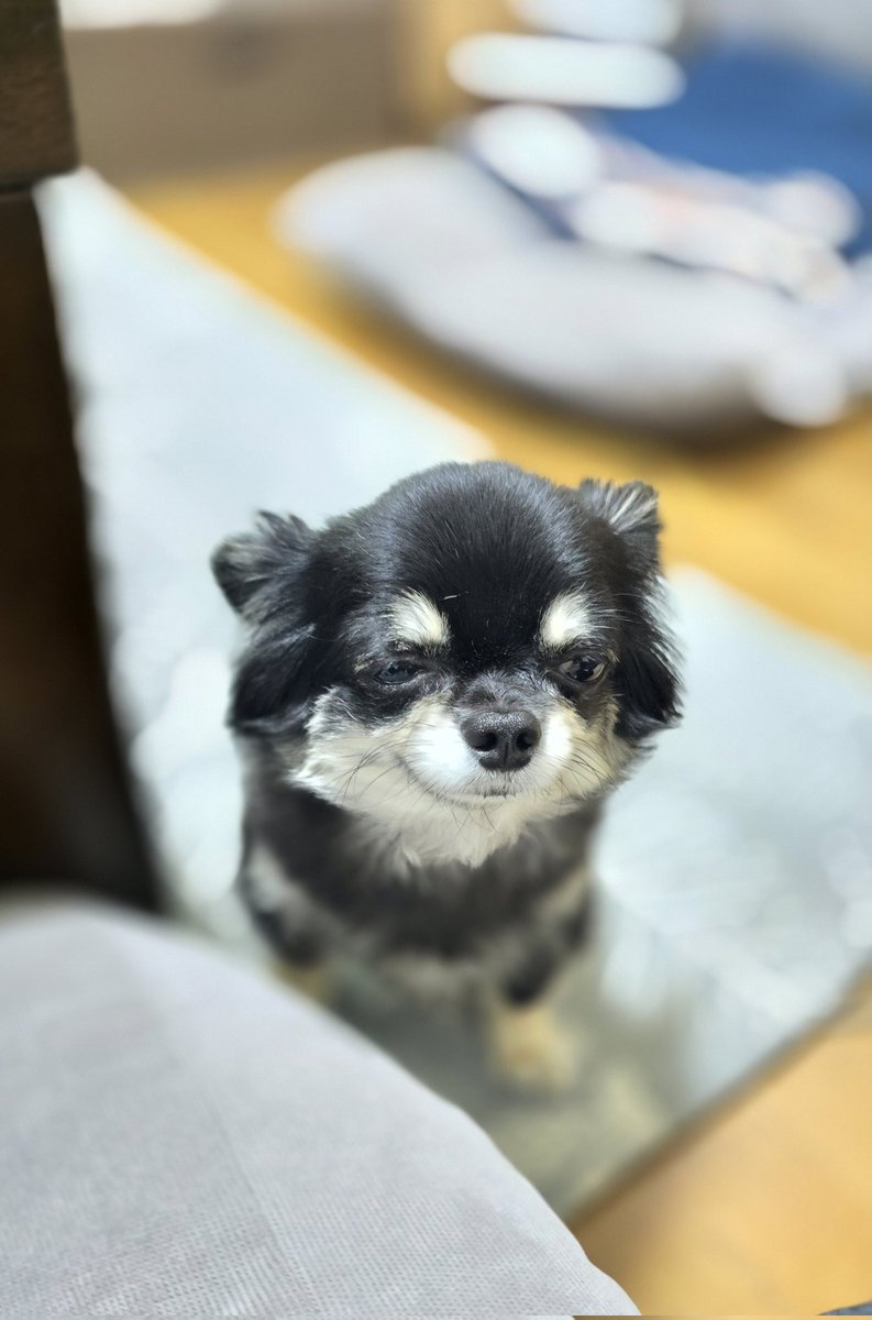 the_Dehi's tweet photo. おっはよー。 https://t.co/Uw5qO5zSya