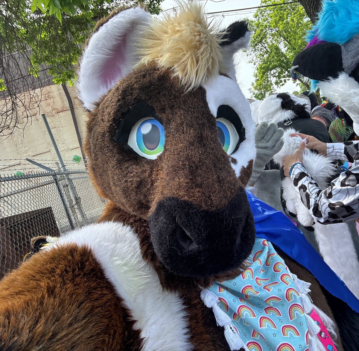 dutch_mouse's tweet photo. Walked MKE Pride Parade today! It was lots of fun! Hope everyone is having a great Pride!! 🌈🏳️‍🌈🐎 https://t.co/KEsZtYlXuF
