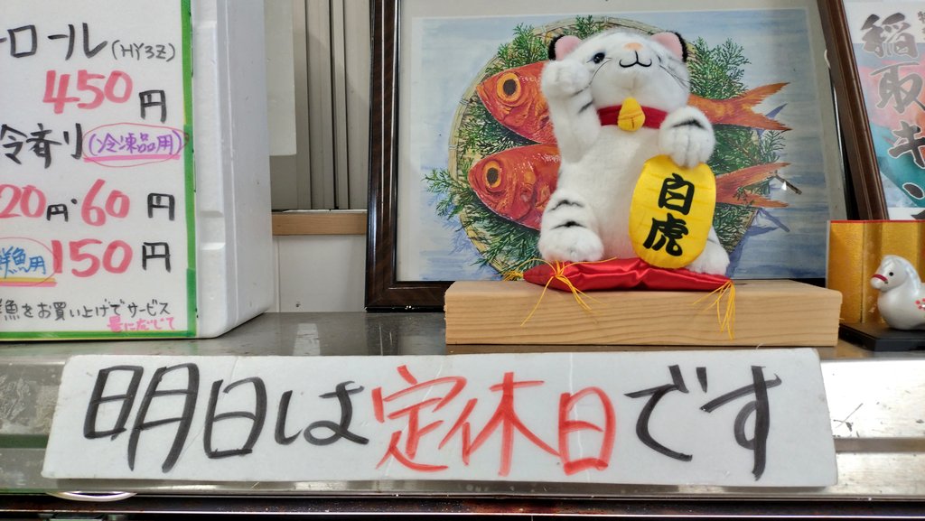 NoZoMi62899360's tweet photo. おはようございます
今朝は風が強い🍃定置網も操業できず😢

本日の ＃こらっしぇ 鮮魚は
稲取キンメ6本のみ！

そして明日は定休日

明後日は魚が入ることを願います🥺 https://t.co/jT4LU286GU