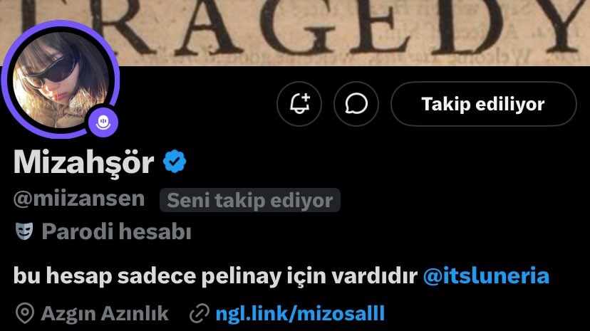 pelinay tweet media
