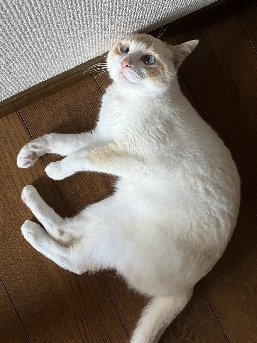p6zDeX9Qm4sDWj1's tweet photo. https://t.co/O9uk2uNsrm
