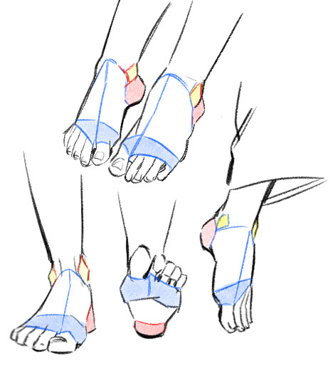 tryanglefor's tweet photo. Understanding the planes of the foot is the key to drawing it from any angle. ✍️✨ https://t.co/nXm2C3OtEY