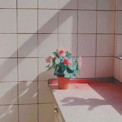 langer_langer_'s tweet photo. Coffee date with my bestie was much needed  🌟 🌱 🌻 https://t.co/q4oaA2z8YN