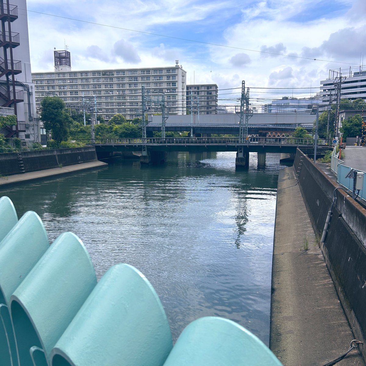 quickkokoro's tweet photo. 本日の水辺休憩。 https://t.co/v6QzL1NxbZ