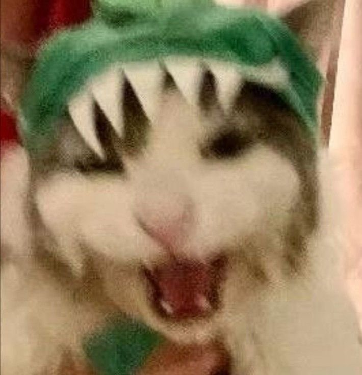 CCeechom's tweet photo. ออมโนซอรัส rawrrrrrrrr 🦖🦕 https://t.co/SyOi1rQKhF