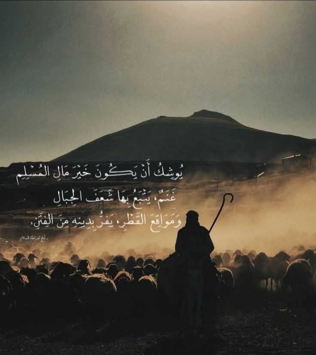 KH_IB235's tweet photo. عن أبي سعيد الخدري رضي الله عنه أن رسول الله ﷺ قال:

 «يُوشِكُ أَنْ يَكُونَ خَيْرَ مَالِ المُسْلِمِ غَنَمٌ، يَتْبَعُ بِهَا شَعَفَ الجِبَالِ وَمَوَاقِعَ القَطْرِ، يَفِرُّ بِدِينِهِ مِنَ الفِتَنِ». https://t.co/BHimrK4kh1