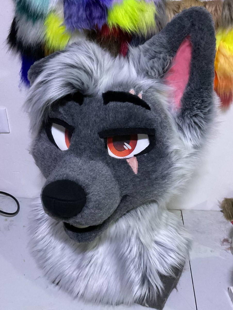 SLemm0n's tweet photo. Introducing Jams🐺⚠️ with a truly magnificent hairstyle😏🌟 https://t.co/u2iwb4vbMX