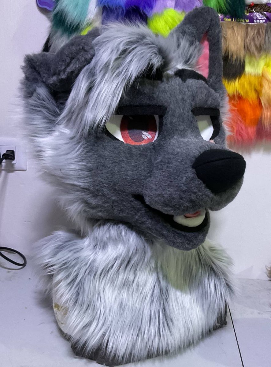 SLemm0n's tweet photo. Introducing Jams🐺⚠️ with a truly magnificent hairstyle😏🌟 https://t.co/u2iwb4vbMX