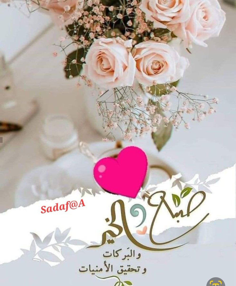 صـــــد𝓈𝒶𝒹𝒶𝒻𝓈𝒽𝑒𝓇𝒾𝒻𝒻فـــ tweet media