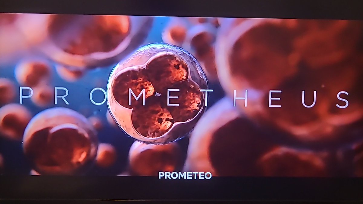 ThePilgrim tweet media