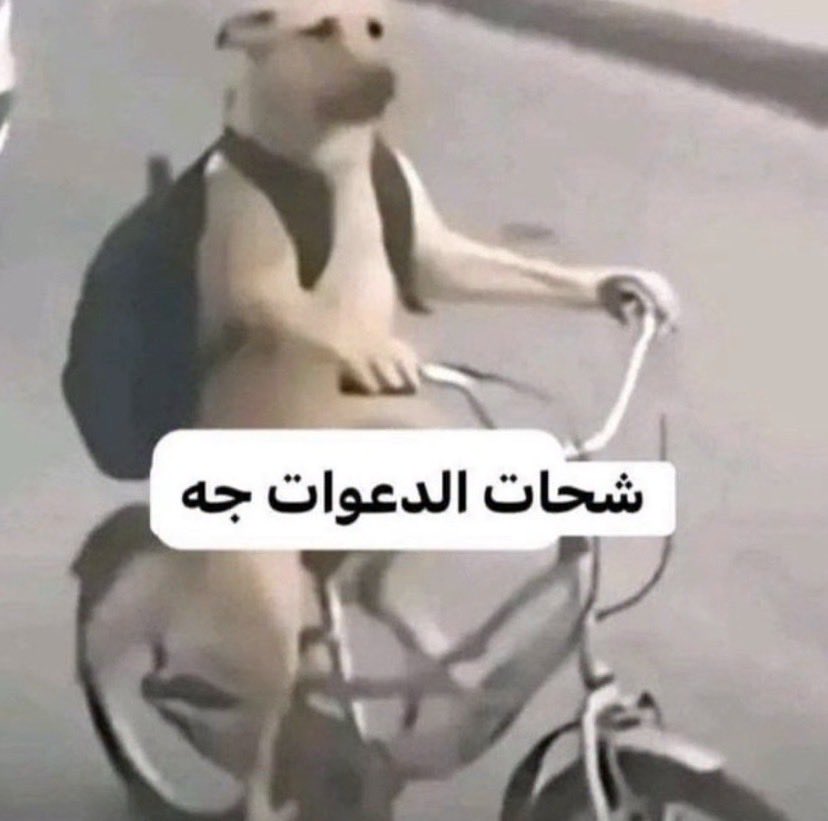 رونق tweet media