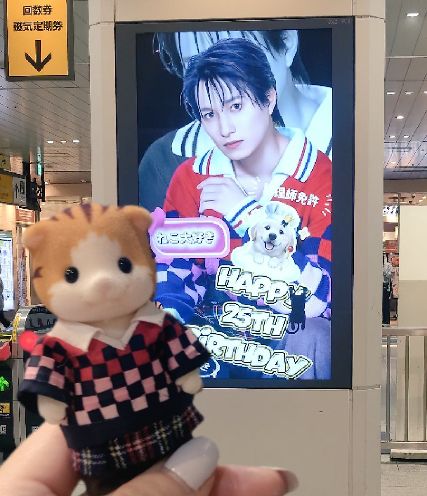 CHiE_MiKi_'s tweet photo. 昨日海浜幕張駅で
ねこ大好き勇馬とゆまにゃん、
# KISSYOUの衣装でぴったり😻
#国宝級イケメン野瀬勇馬くん 
 #Happy_YUMA_Day https://t.co/eRemtAeN1G