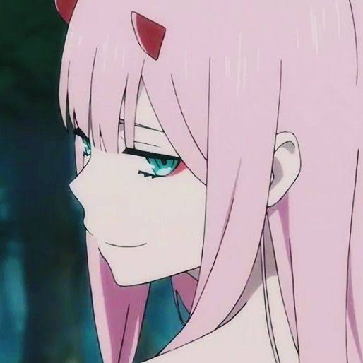 Zero Two❦︎ tweet media
