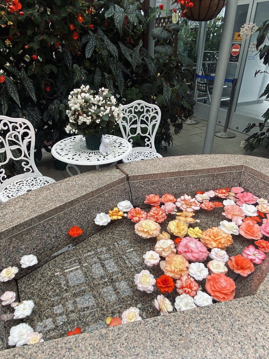 Falilv_January's tweet photo. 癒された〜 https://t.co/9xbmW09MTp