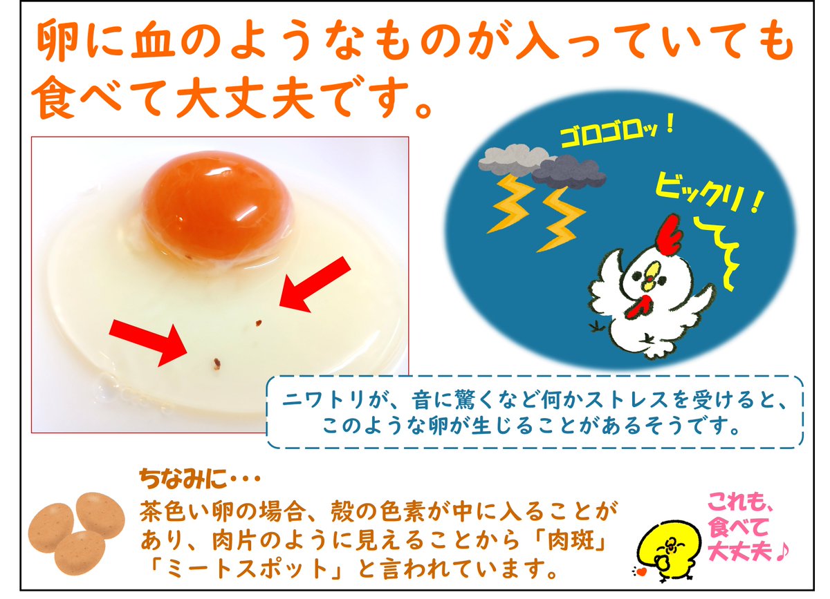GunmaPref_Shoku's tweet photo. 【安心豆知識】

卵を割ったら血が⁉食べても大丈夫❓

😀大丈夫です👌
これは、鶏に何か一時的なストレスが加わったことで、卵を作る器官の毛細血管が破れ、ごく少量の血液が卵に混ざることで生じるもので、#血斑 （けっぱん）といいます。
そのまま食べても問題ありません。

#ぴよたそ https://t.co/lhD2vISoV0