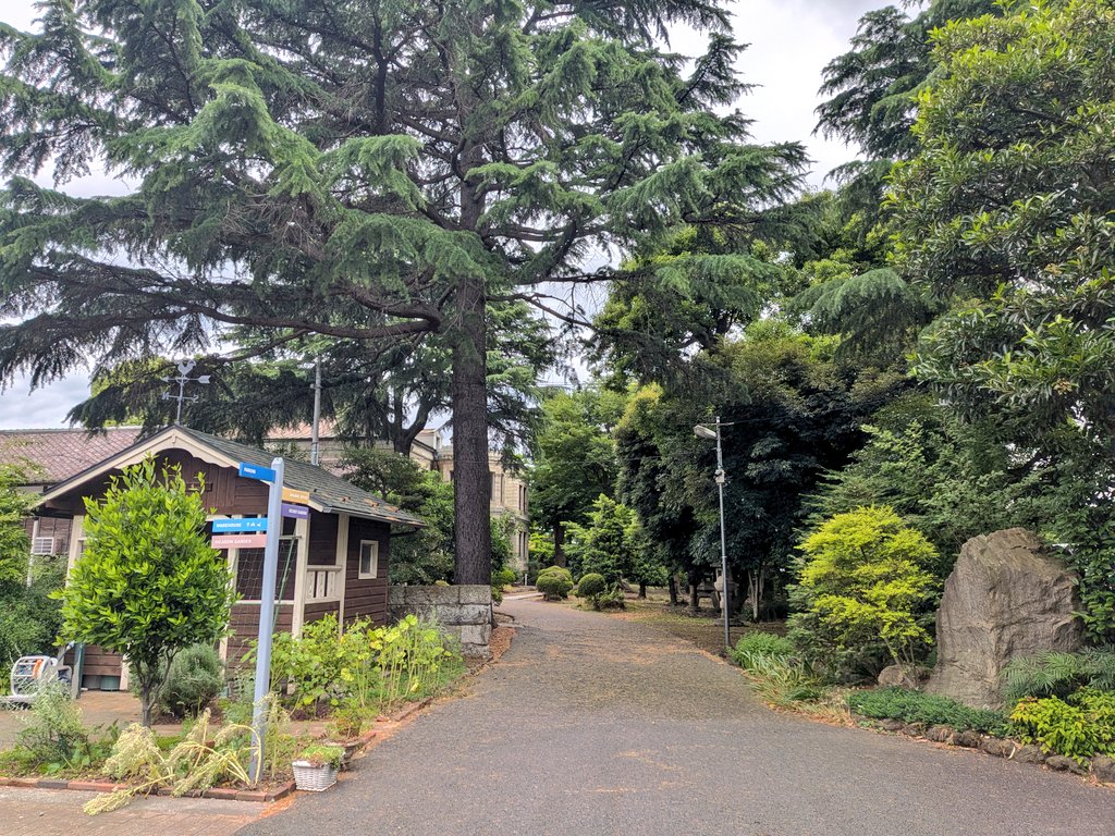 mieemary29's tweet photo. 初工場カフェ。めちゃくちゃ素敵空間でびっくり。ランチも美味しいしお天気もちょうどよくて最高💚
ローズ塩パンまた食べたい😋 https://t.co/S0gxfbSUD1