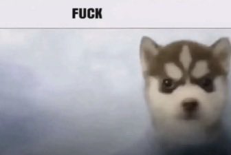 weed_junk's tweet photo. Saw an account so bad when i inhaled i choked on my spit and started coughing so badly i gotta block them cause omg https://t.co/Dig4gOMvTX