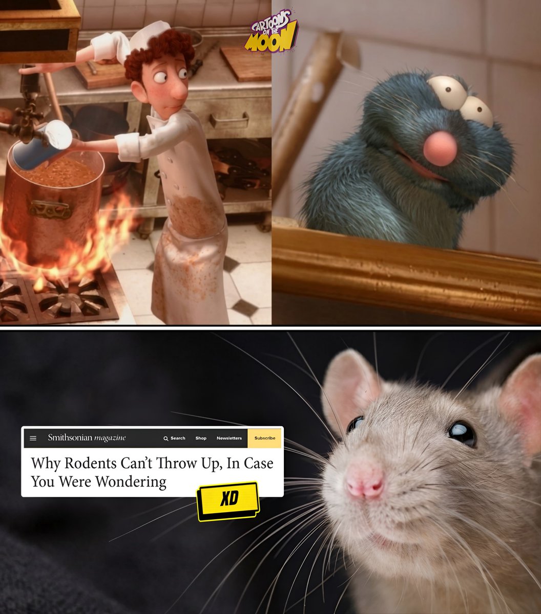 CartoonsOTMoon's tweet photo. Un dato animado hasta Beyond The Spider-Verse. Día 316:

Biológicamente, para las ratas es imposible vomitar.

Con esto, se pueden imaginar lo culero que cocina Linguini como para que Remi casi vomite. https://t.co/FkcbSaXj6f